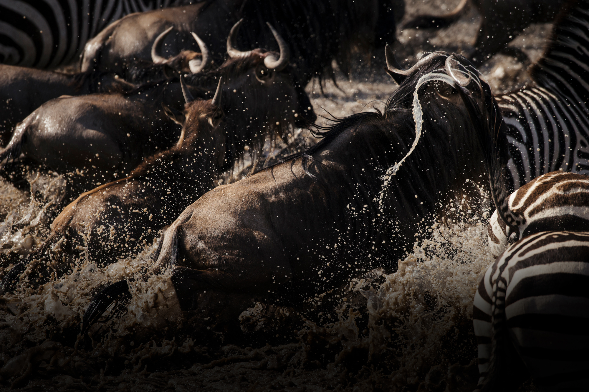 Kenya is a country in Eastern Africa, at 580,367 square kilometers (224,081 sq. mi), Kenya is the world’s 48th largest country by area.